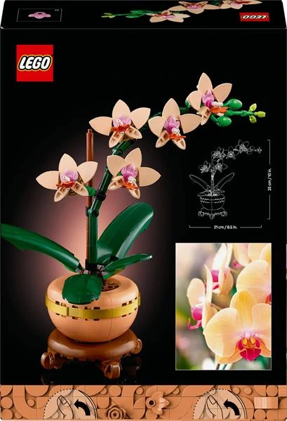 Фото 3