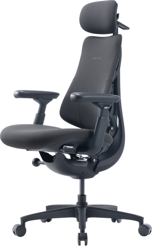 Крісло офісне ергономічне LiberNovo Omni Gen Graphite 48 см