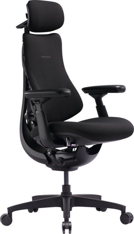 Крісло офісне ергономічне LiberNovo Omni SE Obsidian 48 см