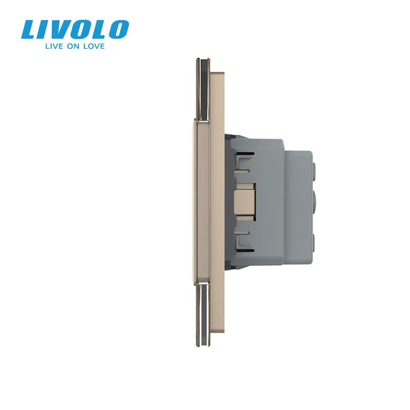 Сенсорний прохідний/перехресний вимикач 2 сенсора (1-1) 1 розетка LIVOLO золото матове скло