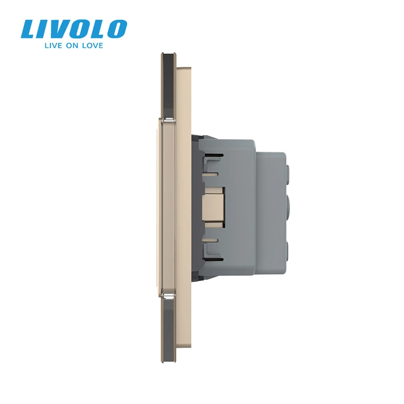 Сенсорний прохідний/перехресний вимикач 2 сенсора 1 розетка LIVOLO золото матове скло