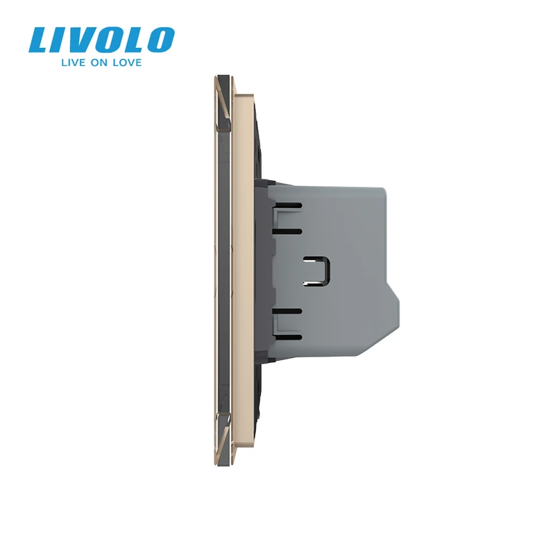 Сенсорний димер 2 сенсори LIVOLO золото матове скло