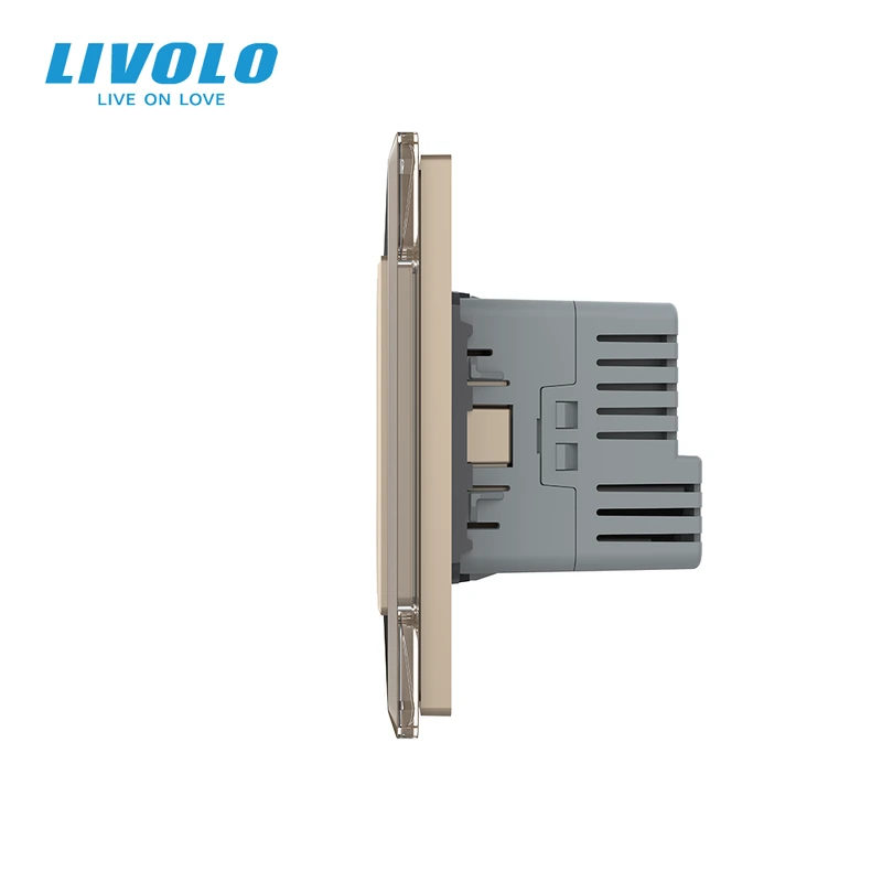 Двоклавішний перехресний вимикач LIVOLO з розеткою та USB Type-C 18Вт, золотий 2.5D, скло, заземлення