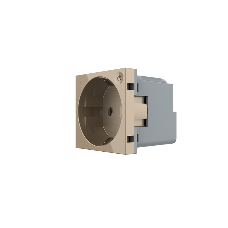 Розумна розетка LIVOLO золота з заземленням, шторки, керування зі смартфона, Alexa, Google Home, 16А 230В, модуль (VL-FCTC16AZ2-2AP)