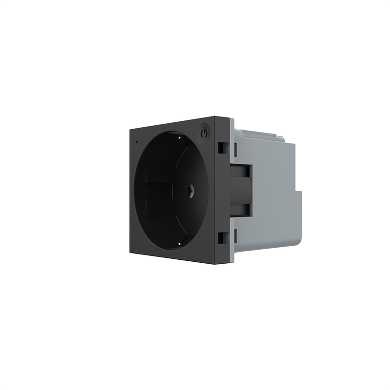 Розумна розетка LIVOLO чорна з заземленням, шторки, керування зі смартфона, Alexa, Google Home, 16А 230В, модуль (VL-FCTC16AZ2-2BP)