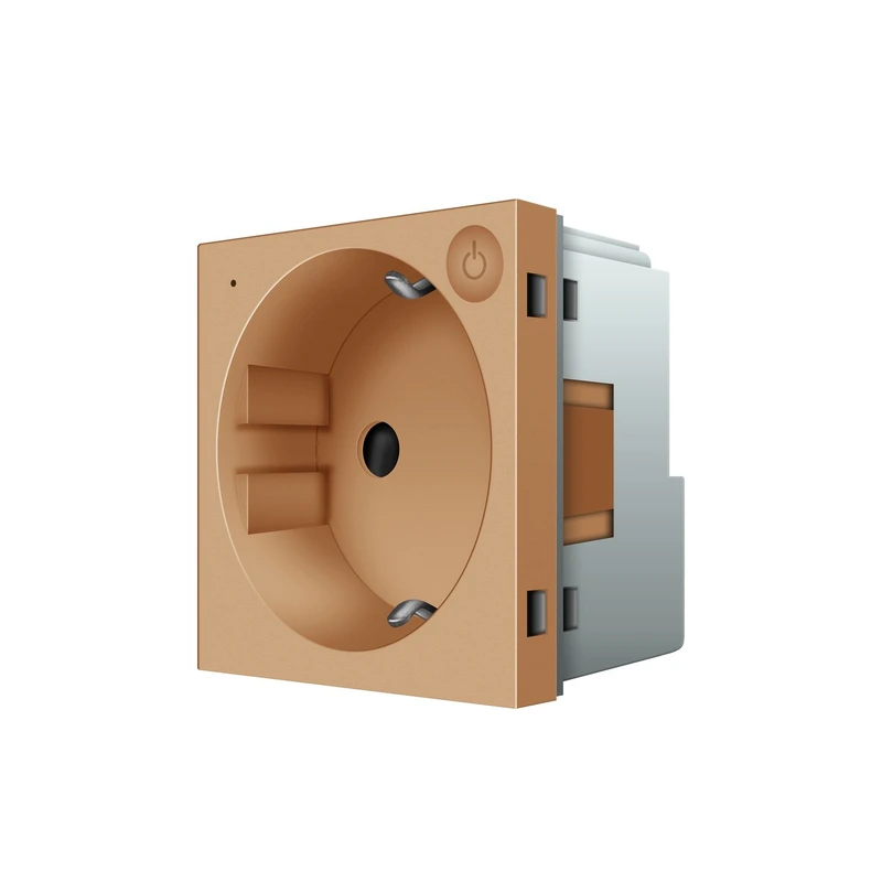 Розумна розетка LIVOLO ZigBee, з заземленням, золота, 16А 230В, керування через Alexa / Google Home / Home Assistant, модуль (VL-FCTC16AZ-2AP)