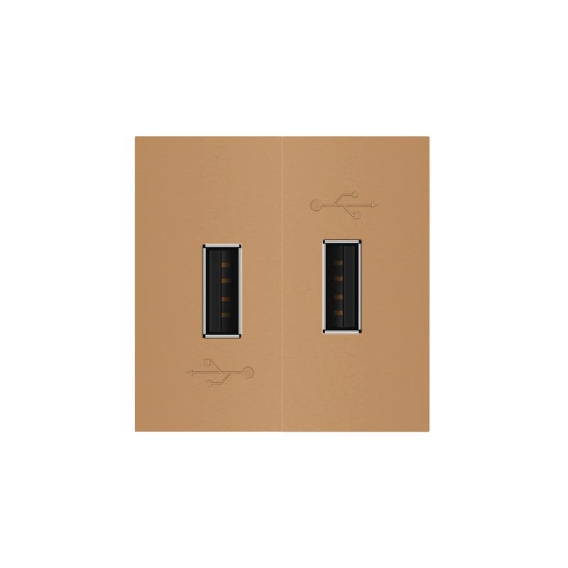 Подвійна розетка USB LIVOLO золота, з блоком живлення 2×USB-A 5V/2.1A, 2×10Вт, модуль (VL-FCUA-2AP)
