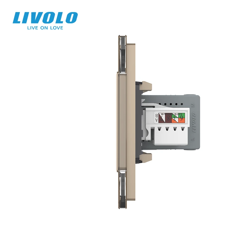 Розетка LIVOLO з USB 10Вт і інтернет портом RJ-45, золота, настінна дизайнерська, скляна рамка