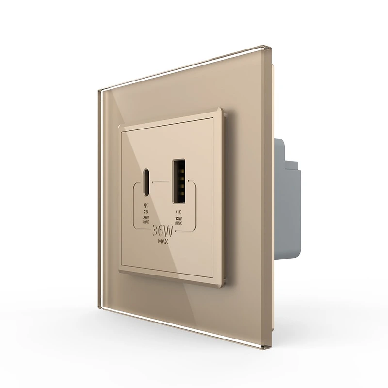 Розетка USB-A та USB-C з Power Delivery 36W LIVOLO золота 2.5D скло