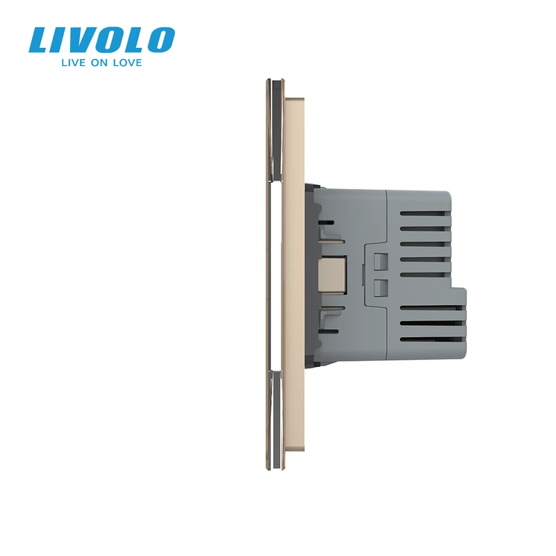 Розумний сенсорний вимикач 4 сенсори (2-2) з розеткою з USB Type-C 18 Вт, заземлення, LIVOLO золото скло
