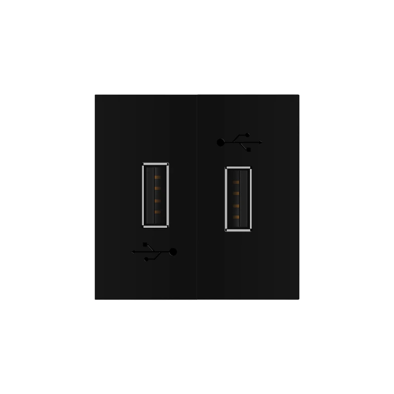 Подвійна розетка USB LIVOLO чорна, з блоком живлення 2×USB-A 5V/2.1A, 2×10Вт, модуль (VL-FCUA-2BP)