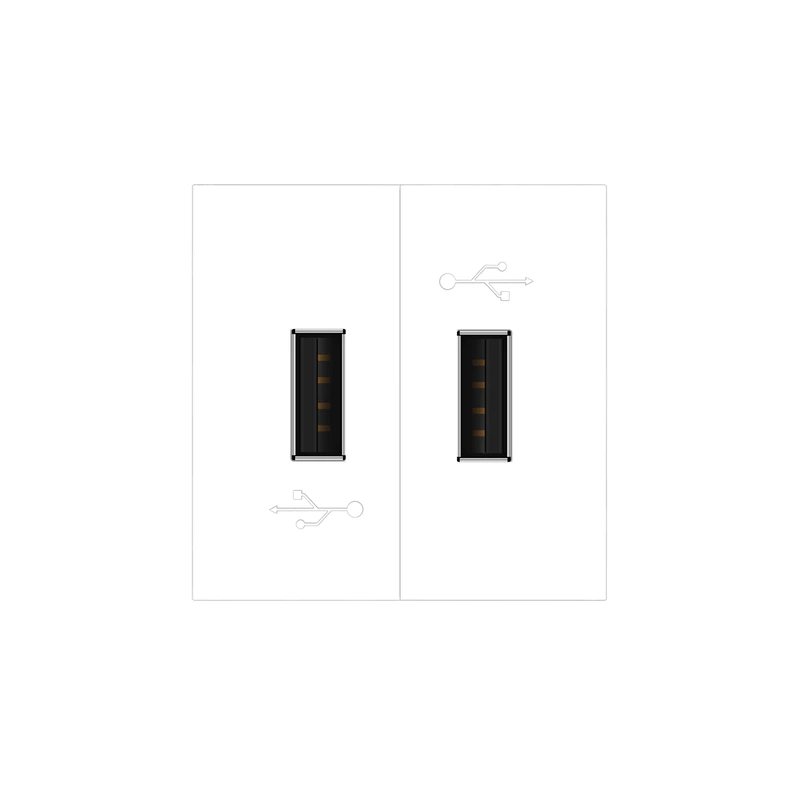Подвійна розетка USB LIVOLO біла, з блоком живлення 2×USB-A 5V/2.1A, 2×10Вт, модуль (VL-FCUA-2WP)