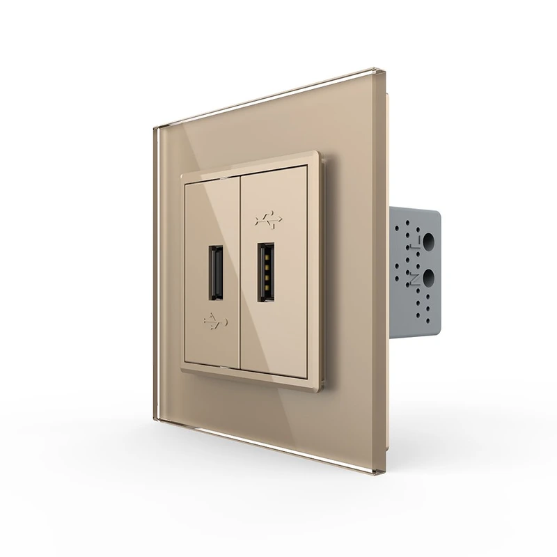 Розетка подвійна USB з блоком живлення Livolo золото скло (VL-C792U-13)