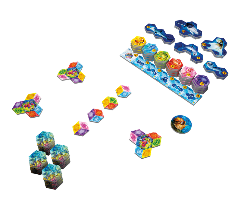 Aqua. Океанське біорізноманіття (AQUA: Biodiversity in the oceans)