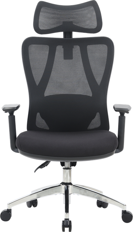 Крісло офісне OfficePro Aero OC490B Black