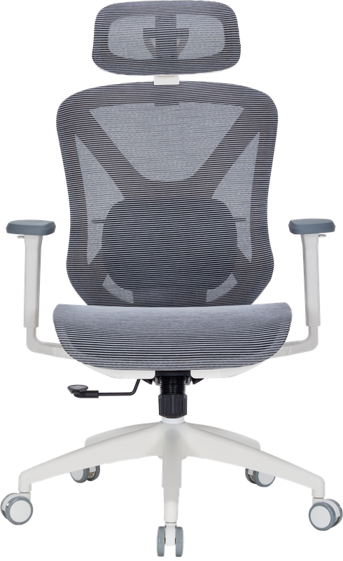 Крісло офісне OfficePro Atlas OC630-G-DG-DG