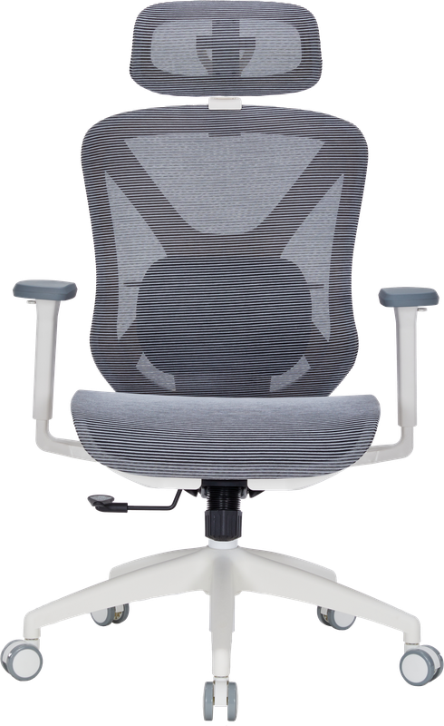 Крісло офісне Officepro Atlas OC630-W-DG-DG