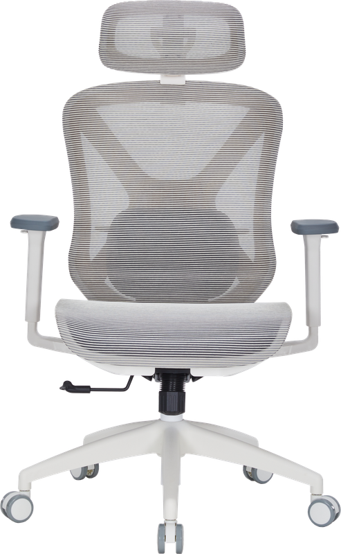 Крісло офісне Officepro Atlas OC630-W-LG-LG