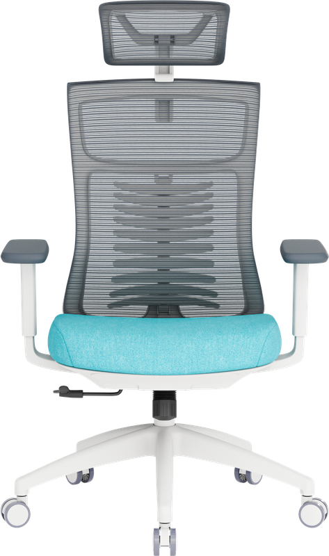 Крісло офісне OfficePro Balance OC550-W-DG-BL