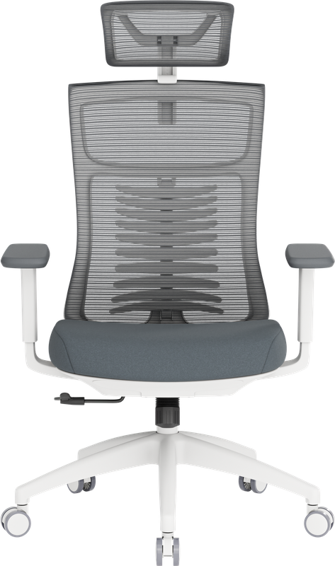 Крісло офісне OfficePro Balance OC550-W-DG-DG