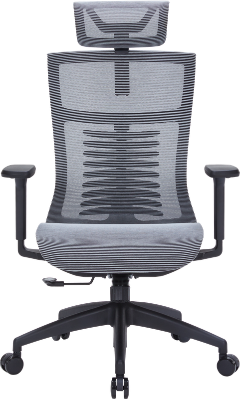 Крісло офісне OfficePro Balance OC620-B-DG-DG