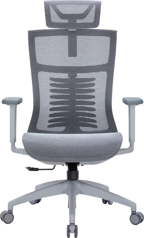 Крісло офісне OfficePro Balance OC620-G-DG-DG