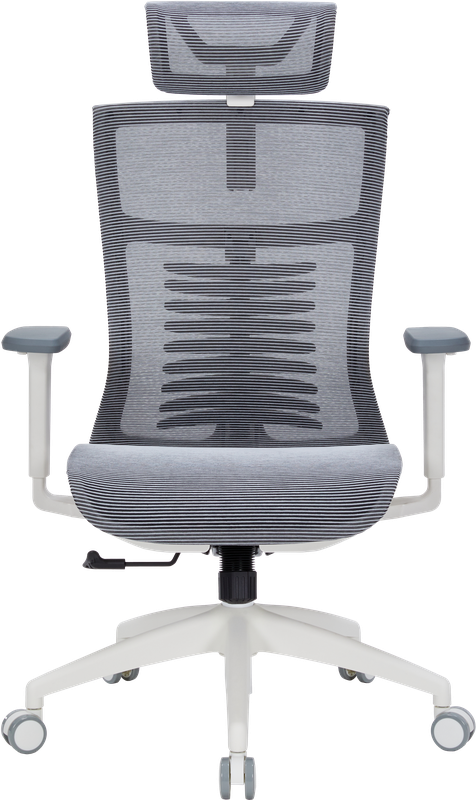 Крісло офісне OfficePro Balance OC620-W-DG-DG