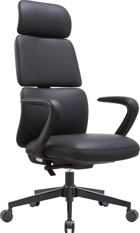 Крісло офісне OfficePro Delicate OC690BK Black PVC