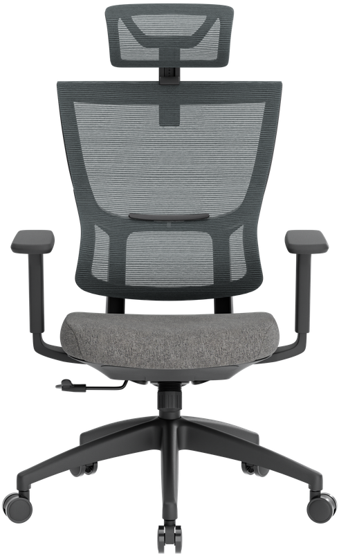 Крісло офісне OfficePro Elegant OC600-B-DG-DG