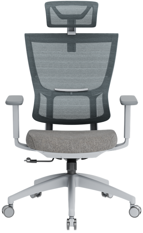 Крісло офісне OfficePro Elegant OC600-G-DG-DG