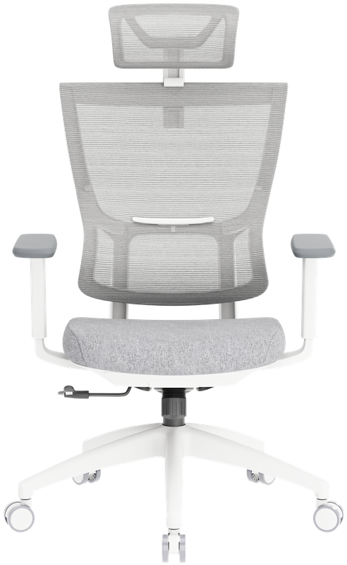 Крісло офісне OfficePro Elegant OC600-W-LG-LG