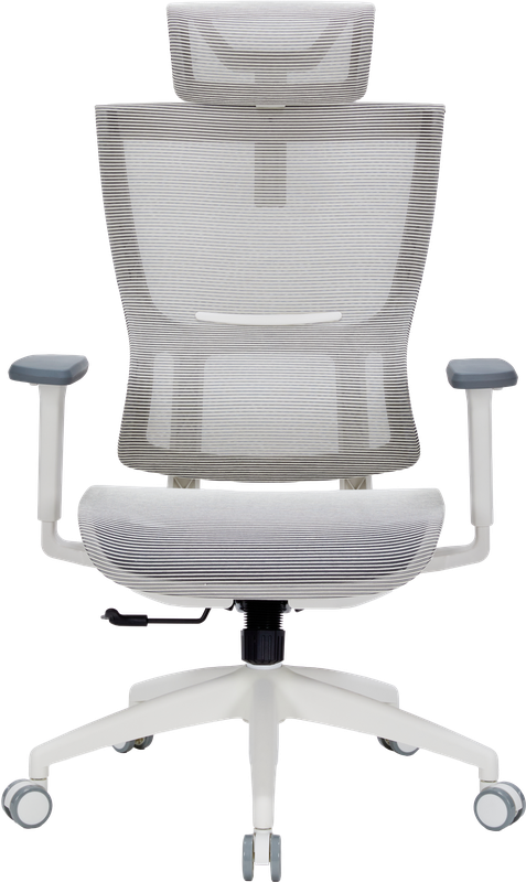 Крісло офісне OfficePro Elegant OC660-W-LG-LG