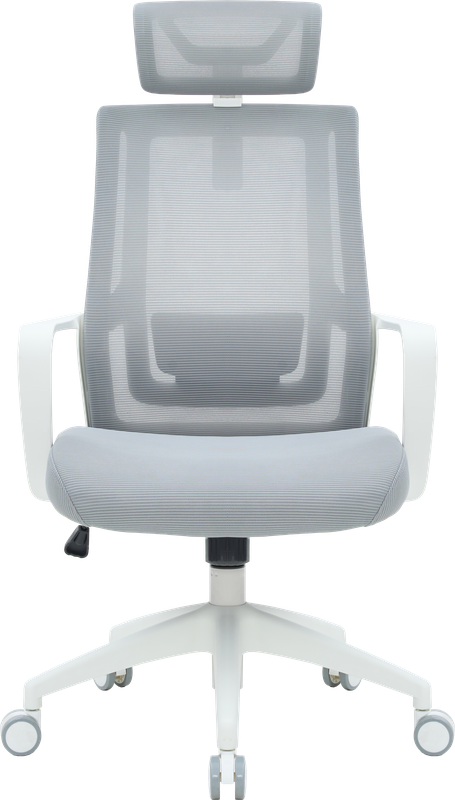 Крісло офісне OfficePro Harmony OC310-W-LG-LG