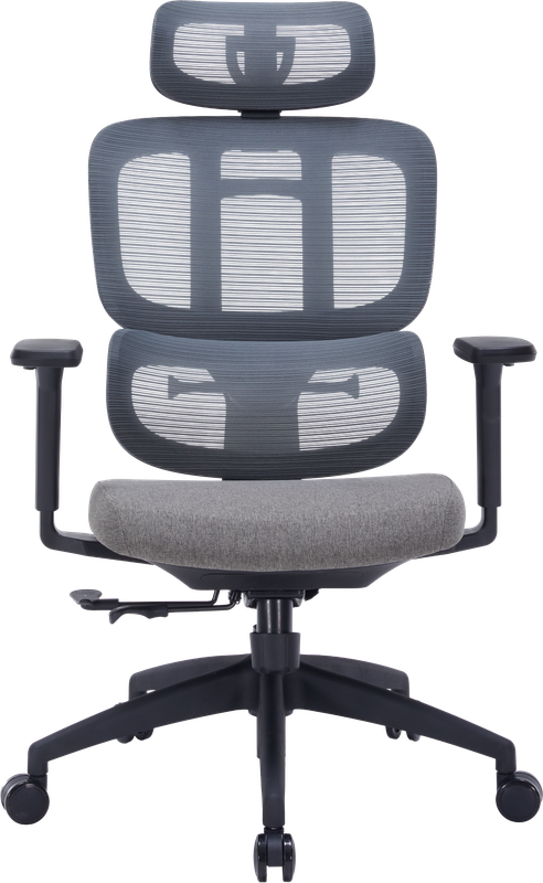 Крісло офісне OfficePro Skyline OC580-B-DG-DG