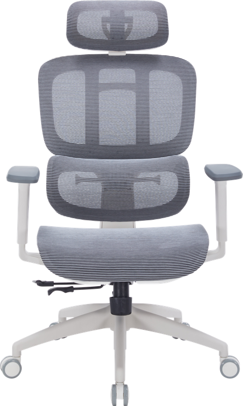 Крісло офісне OfficePro Skyline OC680-W-DG-DG