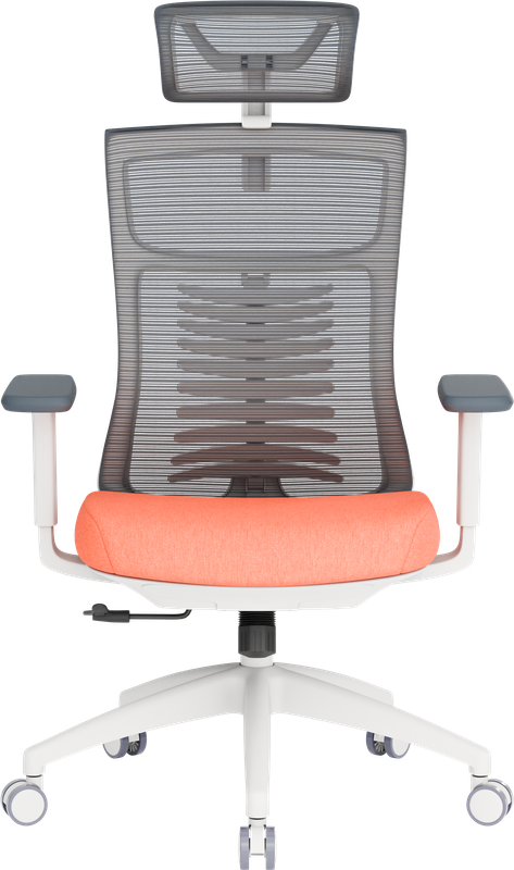 Крісло офісне OfficePro Balance OC550-W-DG-OR