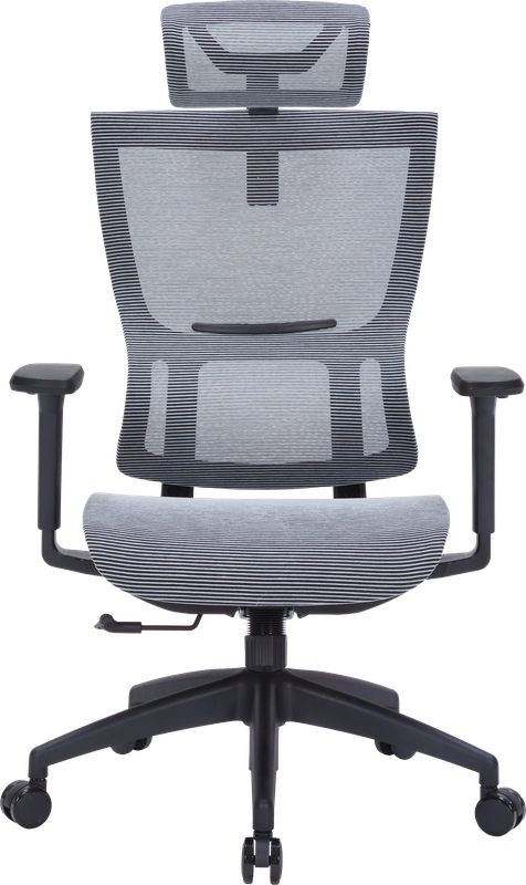 Крісло офісне OfficePro Elegant OC660-B-DG-DG