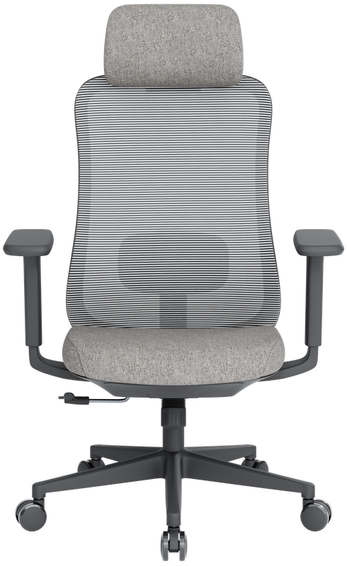 Крісло офісне OfficePro Wave OC599-B-DG-DG