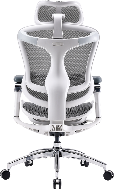 Крісло офісне Sihoo DORO C300 Pro Mesh White