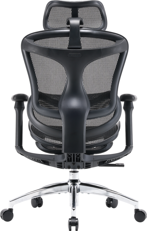 Крісло офісне Sihoo DORO C300L Mesh Black