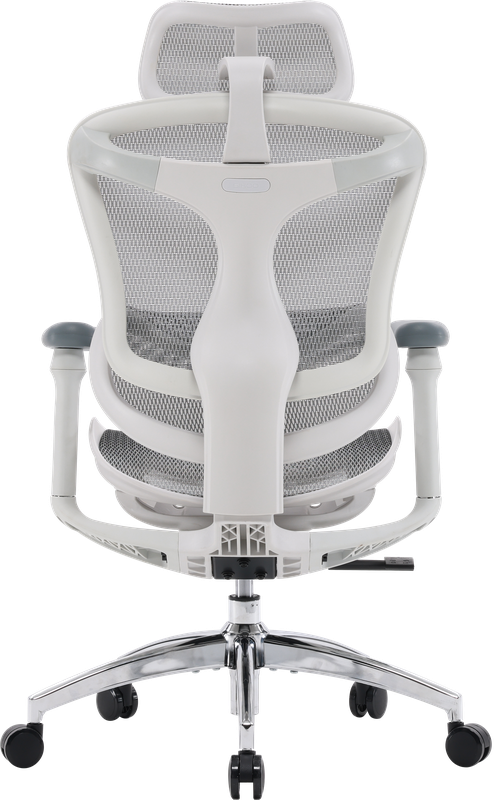 Крісло офісне Sihoo DORO C300L Mesh White