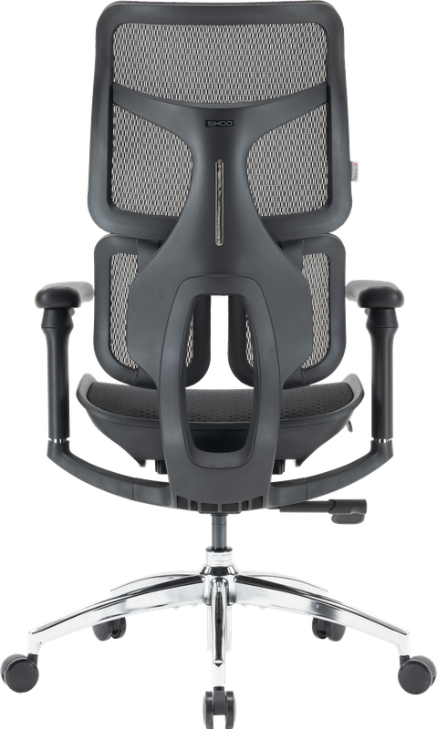 Крісло офісне Sihoo DORO S100 Mesh Black