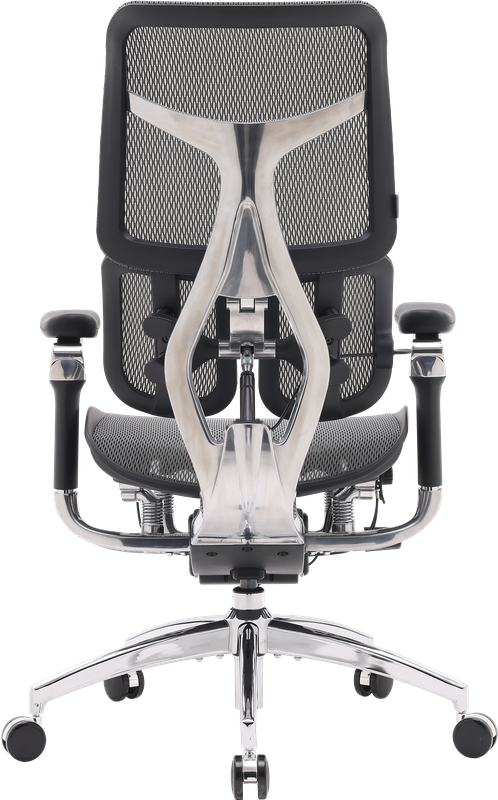 Крісло офісне Sihoo DORO S300 Mesh Dark Grey