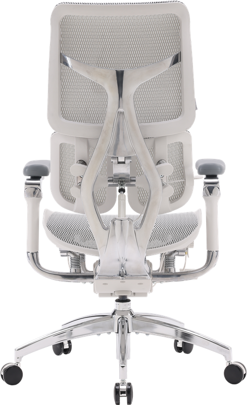 Крісло офісне Sihoo DORO S300 Mesh Light Grey