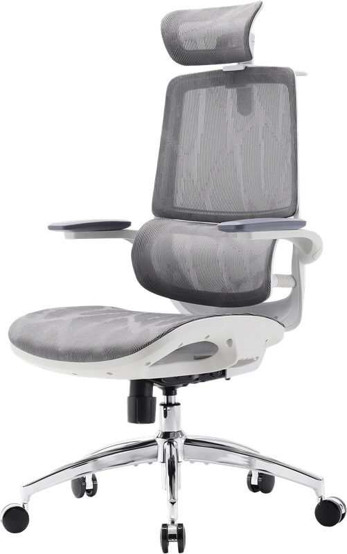 Крісло офісне Sihoo M59AS Mesh Gray