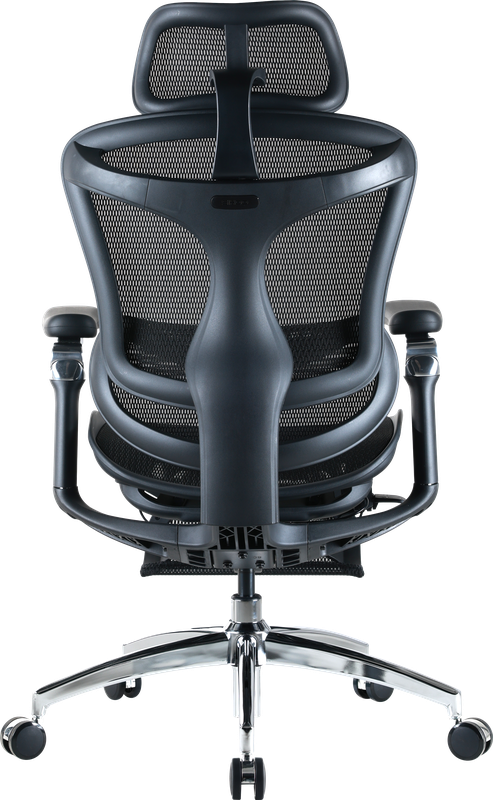 Крісло офісне з підставкою для ніг Sihoo DORO C300 Pro Mesh Black with footrest