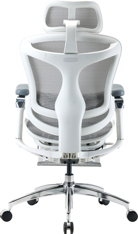 Крісло офісне з підставкою для ніг Sihoo DORO C300 Pro Mesh White with footrest