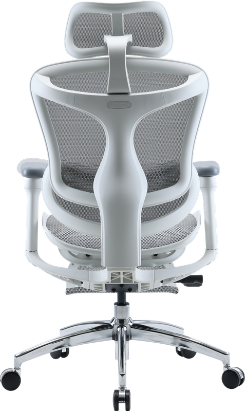 Крісло офісне з підставкою для ніг Sihoo DORO C300L Mesh White with footrest