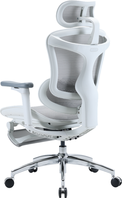 Крісло офісне з підставкою для ніг Sihoo DORO C300L Mesh White with footrest — фото 7