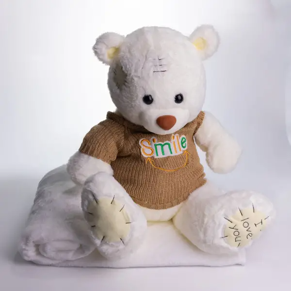 М'яка іграшка з пледом 110х140 см Ведмедик Тедді в коричневому светрі білий 509-35WBR